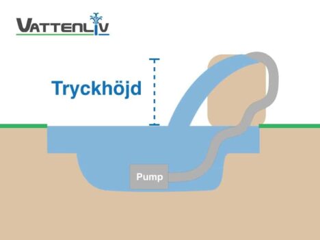 tryckhöjd