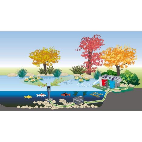 aquaskim 20