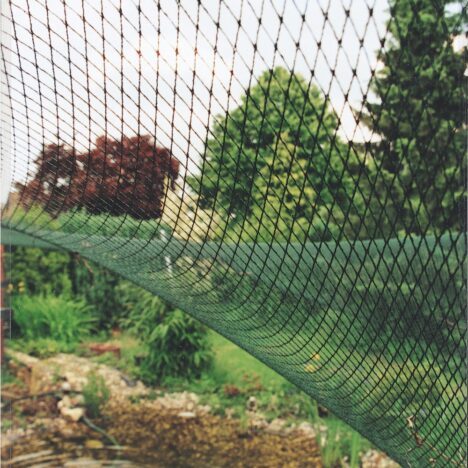 aqua net