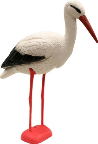 Stork