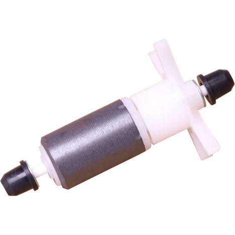Roottori / rotor
